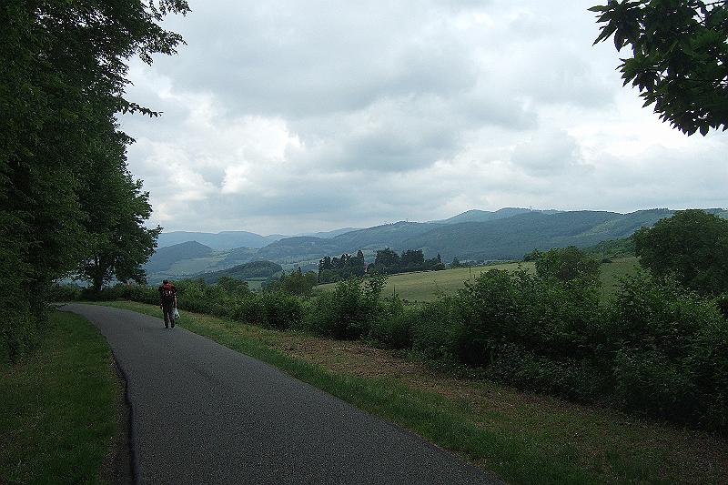 2010-06- (11).JPG - Wir verlassen das Weinbaugebiet Burgund - vor uns liegt das Mâconnais, eine abwechslungsreiche Landschaft